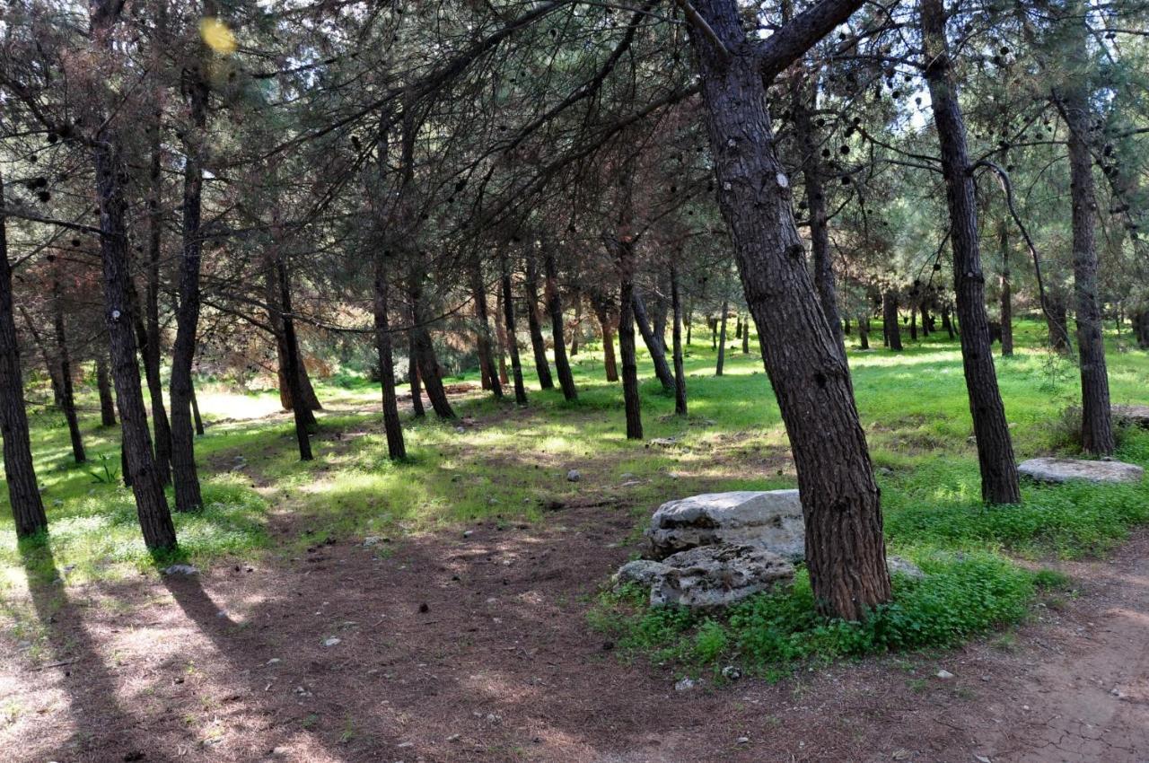 Aletraki -Off-Grid Retreat Above Heraklion, Peaceful Views Archanes Exterior foto