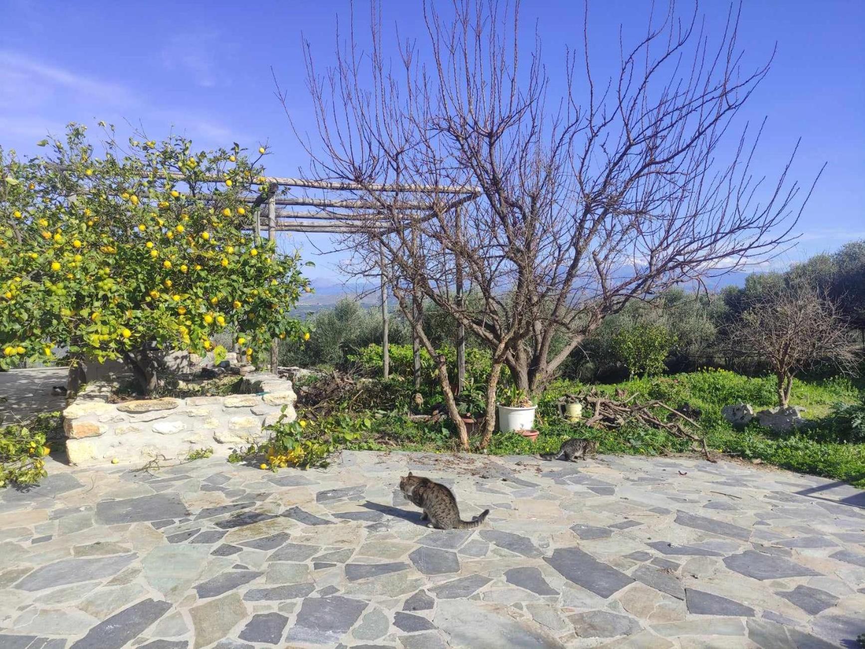Aletraki -Off-Grid Retreat Above Heraklion, Peaceful Views Archanes Exterior foto